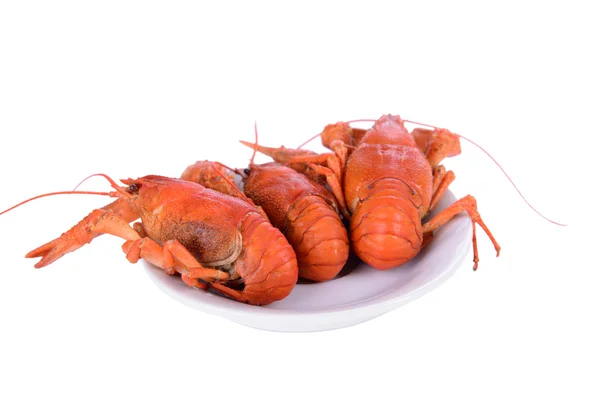 Boiled red crawfishes — Stock Photo, Image