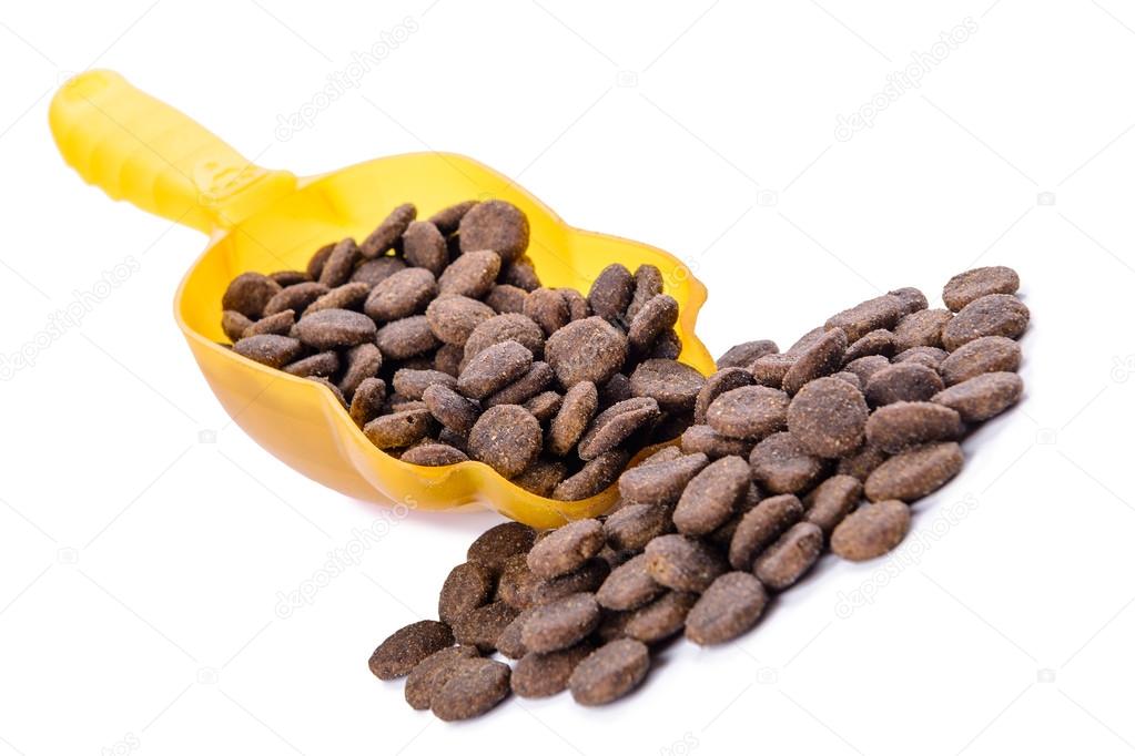 dog food  isolated 