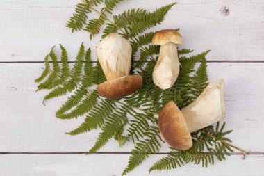 Sonbaharda, eğreltiotlarından toplanan birkaç sese beyaz ahşap arka planda