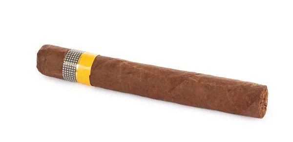 Cigar Inte Rökt Vit Bakgrund — Stockfoto