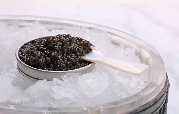 Caviar Una Lata Metal Con Una Cuchara Nácar Sobre Hielo —  Fotos de Stock