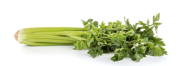 Celery Bouquet Isolated White Background — Stock Photo, Image