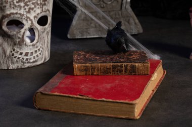 Fake Blackbird in a Halloween setting on grimoires