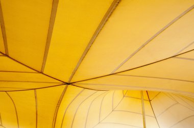 kaart van de wereld van groen gras