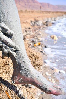 Ölü Deniz'in sağlıklı çamur