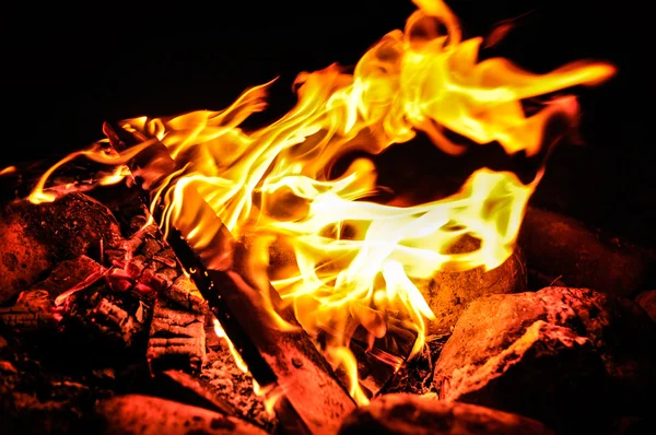 Flames of campfire — Stock Photo, Image