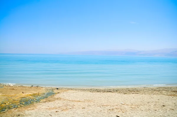 De kust van de dode zee, Israël — Stockfoto