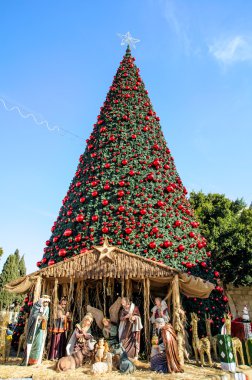 Christmas tree in Bethlehem, Palestine clipart