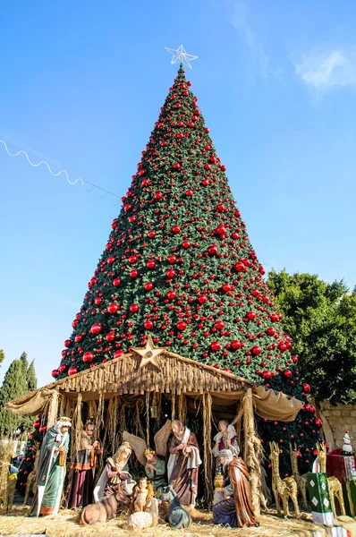 Christmas tree in Bethlehem, Palestine Stock Obrázky