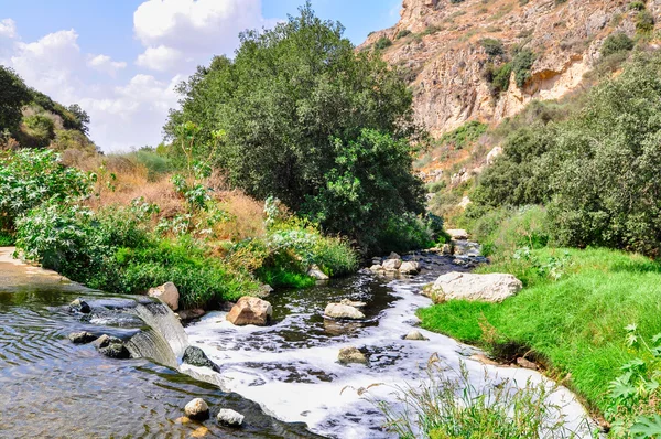 Mountain river — Stock Photo, Image