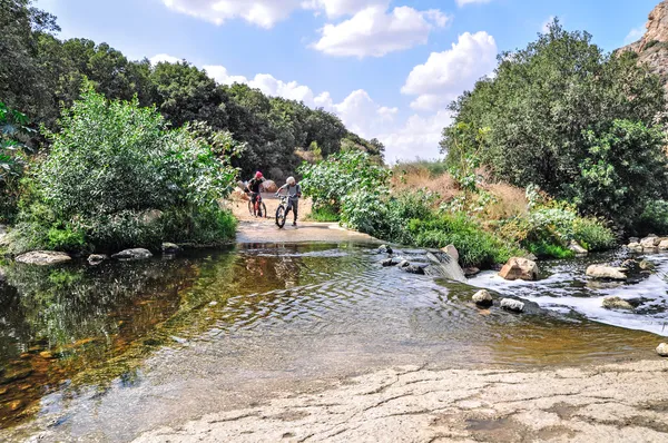 Bisikletçiler bisiklet yolu üzerinde — Stok fotoğraf