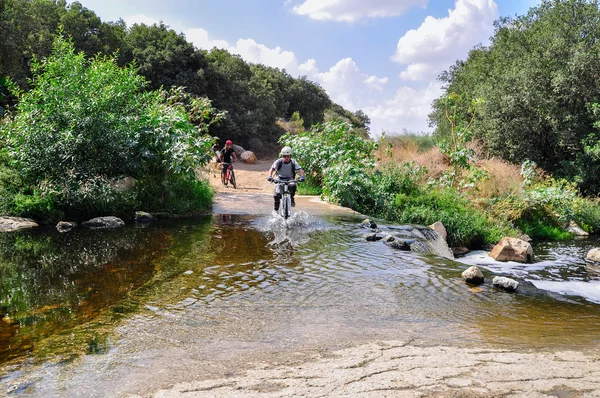 Cyclists on the bicycle trail — Stock Photo, Image