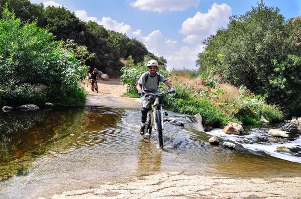 Bisikletçiler bisiklet yolu üzerinde — Stok fotoğraf