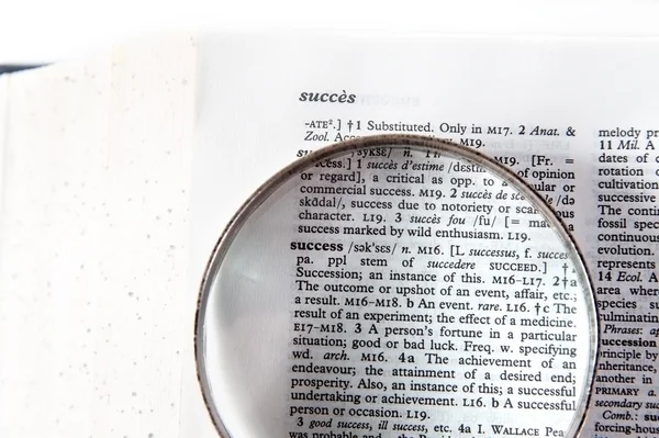 A magnifying glass on the word success Royalty Free Stock Images