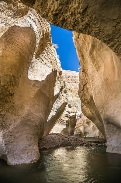 Ürdün Vadisi wadi hasa dereye — Stok fotoğraf