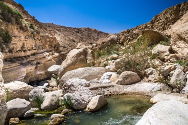 Ürdün Vadisi wadi hasa dereye