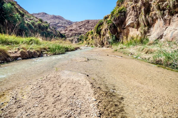 Il torrente nella valle wadi hasa in Giordania — Foto Stock