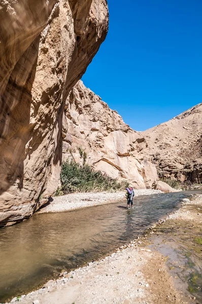 Ürdün Vadisi wadi hasa dereye — Stok fotoğraf