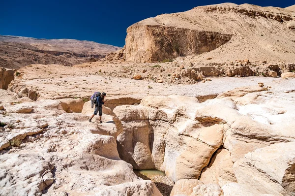 Wadi hasa içinde fiyatı — Stok fotoğraf