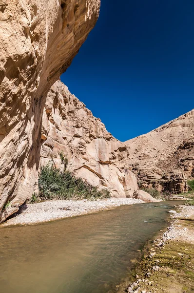 Der Bach im Tal Wadi Hasa in Jordanien — Stockfoto