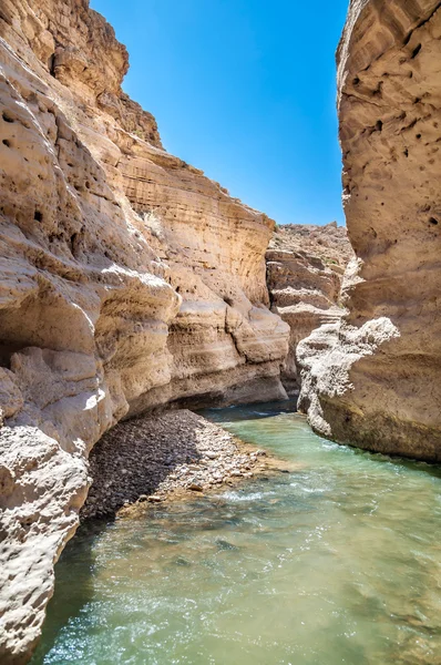 The creek in valley Wadi Hasa in Jordan — Stock Photo, Image