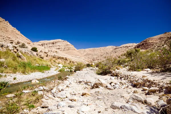 O riacho em vale wadi hasa na Jordânia Imagens De Bancos De Imagens