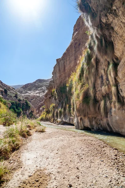 O riacho em vale wadi hasa na Jordânia — Fotografia de Stock