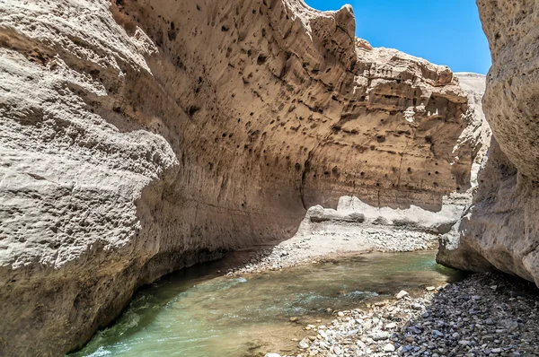 O riacho em vale wadi hasa na Jordânia Fotos De Bancos De Imagens Sem Royalties