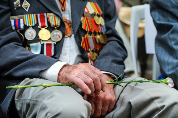 II. Dünya Savaşı gazileri şenlikte 9 Mayıs