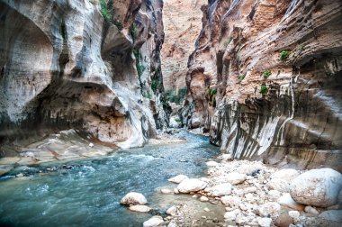 Wadi hasa creek Ürdün