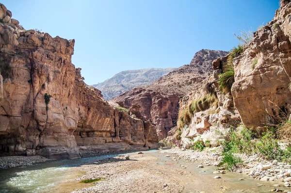 Riacho de Wadi hasa na Jordânia — Fotografia de Stock