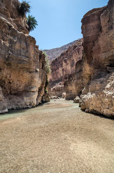 Wadi hasa creek i Jordanien — Stockfoto