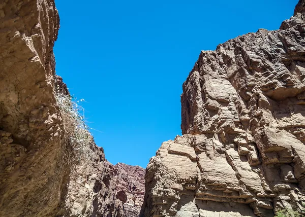 Wadi Hasa creek in Jordan — Stock Photo, Image