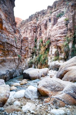 Wadi hasa Ürdün