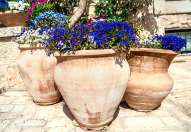 testiler çiçeklenir