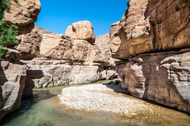 Wadi hasa creek Ürdün
