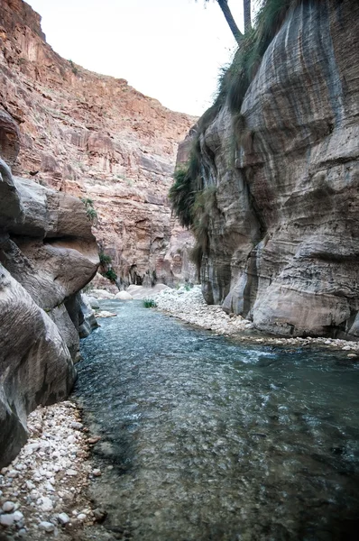 Wadi hasa creek Ürdün
