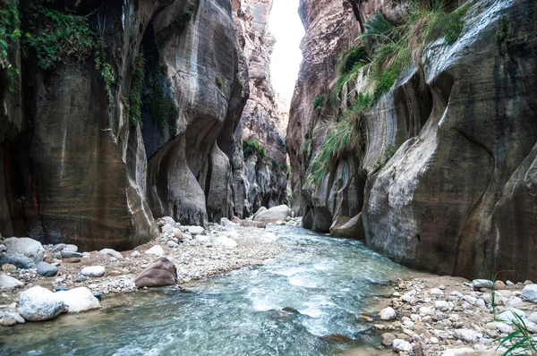 Wadi hasa Ürdün