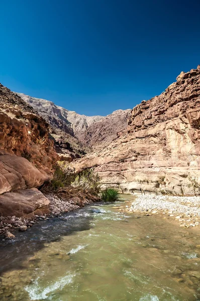 Riacho de Wadi hasa na Jordânia — Fotografia de Stock