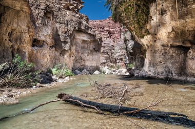 Wadi hasa creek Ürdün