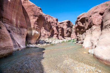 Wadi hasa creek Ürdün