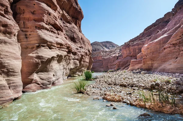 Wadi hasa creek Ürdün