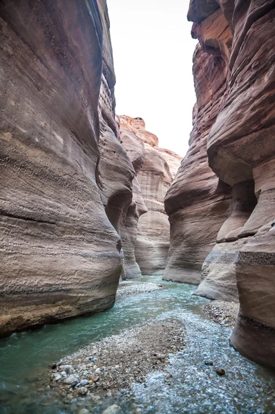 Wadi hasa creek Ürdün — Stok fotoğraf