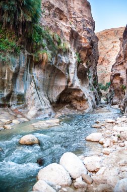 Wadi hasa creek Ürdün