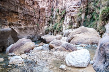 Wadi hasa creek Ürdün