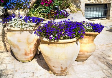 testiler çiçeklenir