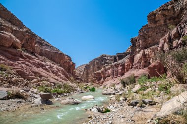 Wadi hasa creek Ürdün