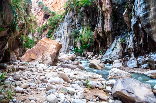 Wadi hasa i Jordanien — Stockfoto