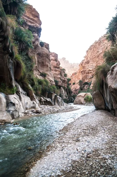 Wadi hasa creek w Jordanii — Zdjęcie stockowe