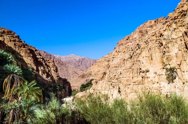 Paisagem do deserto — Fotografia de Stock